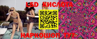 крисы Будённовск