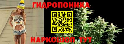 эйфоретик Бузулук
