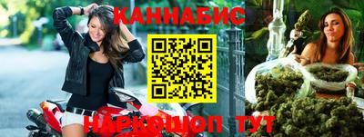 крисы Будённовск