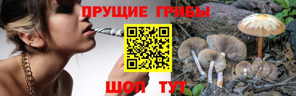 Галлюциногенные грибы ЛСД  Вход с VPN  Новошахтинск 